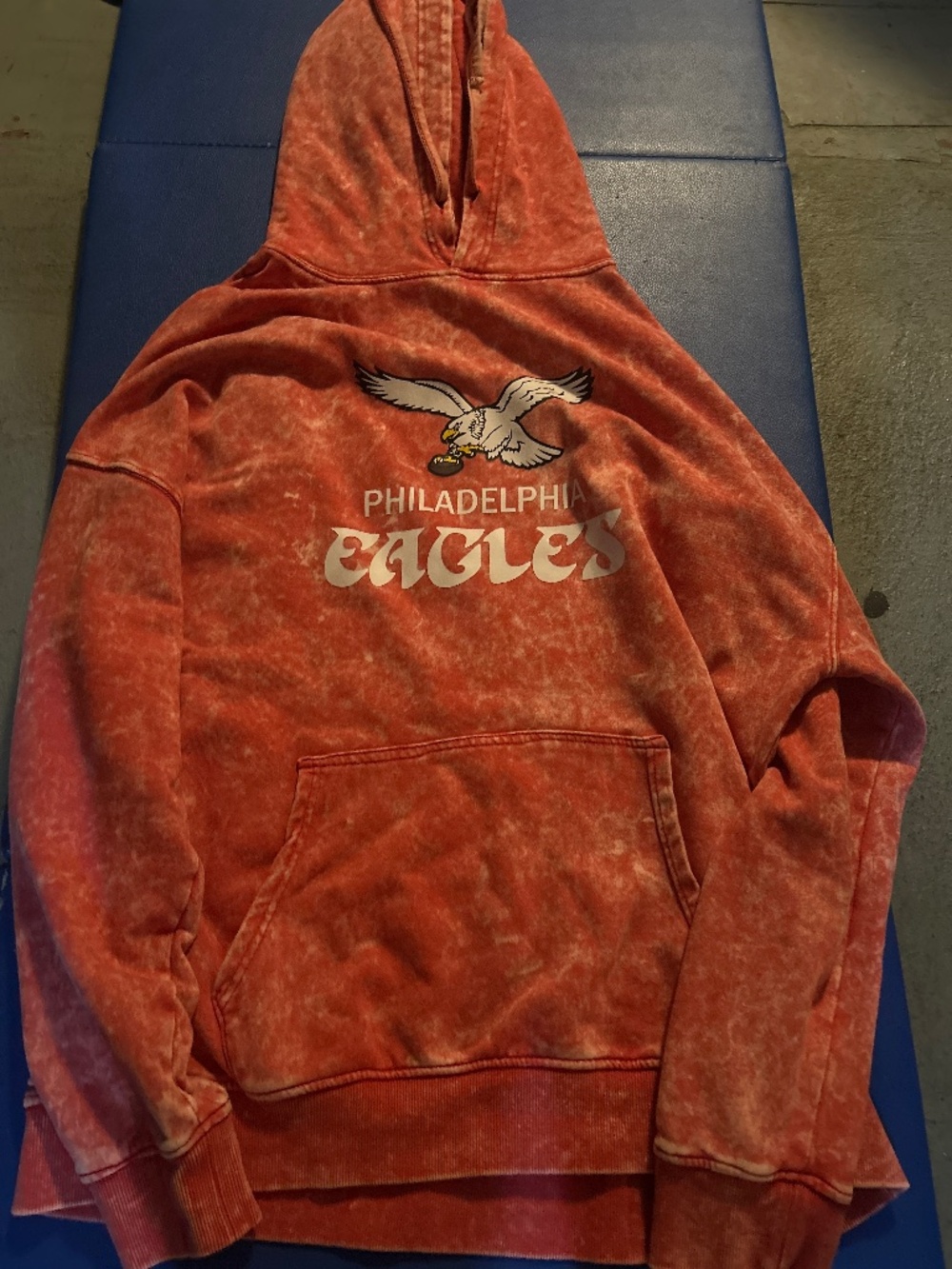 Vintage Red Eagles Hoodie Size Large